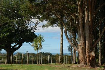Kohinui Glade Holiday Cottage - Whangarei