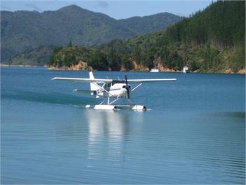 Cissy Bay Cottage, Pets Welcome. - French Pass