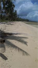 Hibiscus Bure @ the Beach in Vanua Levu Fiji - savusavu