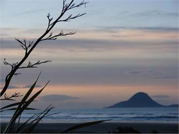 BEACH HAVEN APARTMENT. No road to cross to the beach. - 