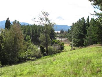 Harry Place Cabin - Tasman Bays