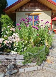 The Old Orchard Cottage - St Bathans