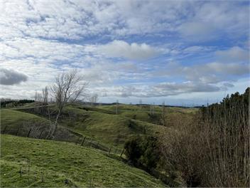 Farm Views House - Napier