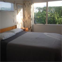 TWEED STREET - Tauranga