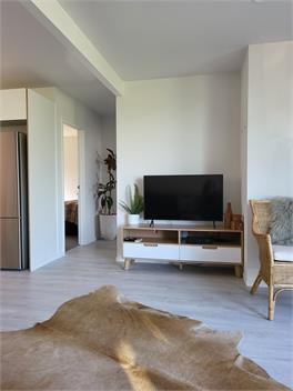BEACH HAVEN APARTMENT. No road to cross to the beach. - 