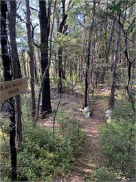 Bush & birdsong minutes from lake - St Arnaud