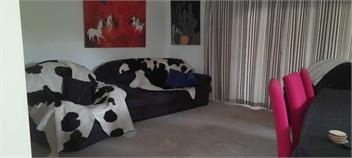 Rural Bay of Islands 1 acre with two blue heelers, 13 min Kerikeri 25 minutes by car to Paihia - Kerikeri