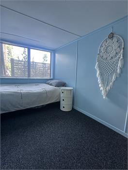 SURF Shack - Whangmata