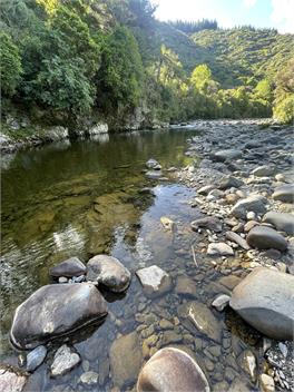 Eirene Retreat - Upper Hutt