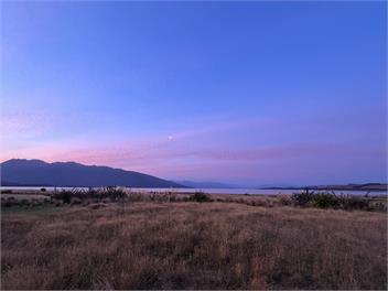 The Stoney Shore -