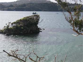 Ringaringa Beach Cottage - Oban