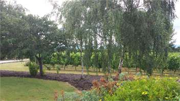 Todds Cottage & Vineyard -