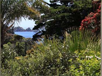 Enclosure Bay Bach - oneroa