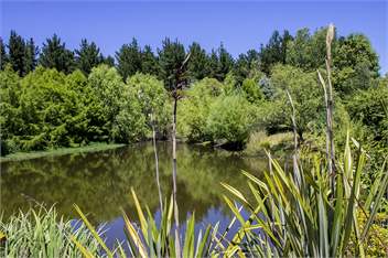 Secluded Haven Near River, Bush, Beach & Havelock - Havelock North