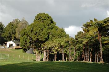Kohinui Glade Holiday Cottage - Whangarei