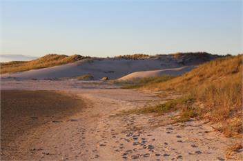 No.23 @the beach - Northland