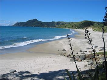 Cuvier Island View - Whitianga