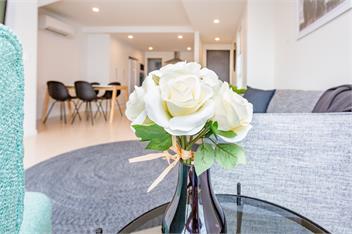 Large and Spacious Newly Built Townhouse - christchurch 