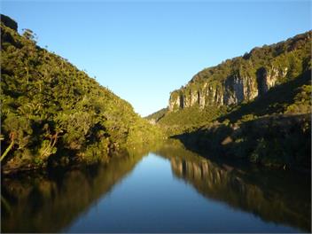 Rimu Cottage - Hydrangea cottages - Punakaiki