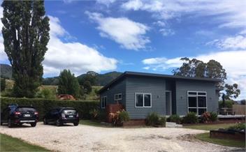 "Koko at the Beach" - Takaka 7183