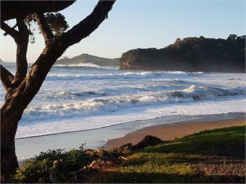 Whananaki Barn -Off Grid Living with Beach Views! - Whananaki North