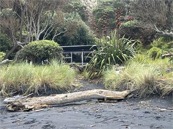 Mokau treasure - Mokau