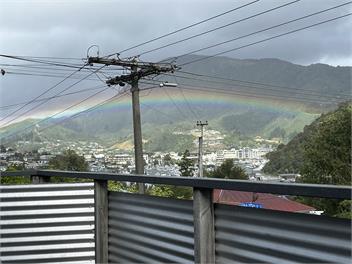 Sun Trap in Picton - Picton