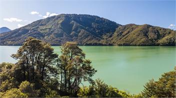 Tepuia Cottage (Bachcare) - Picton