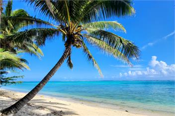 ARIKA PALMS LUXURY VILLAS | ABSOLUTE BEACHFRONT | TITIKAVEKA - RAROTONGA