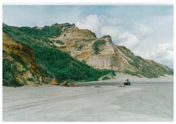 Glinks Gully Beach House - Dargaville