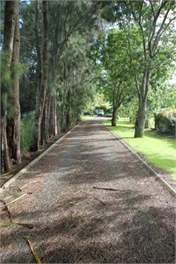 Matakana Village Cottage Chalet and sleepout - Nt Auckland