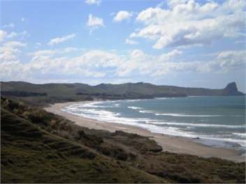 Wai Ngaio Retreat - Otahome - Masterton