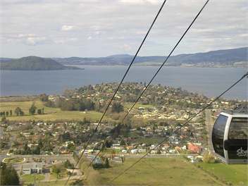 at The Willows - Rotorua