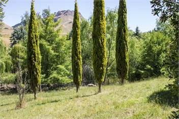 Secluded Haven Near River, Bush, Beach & Havelock - Havelock North