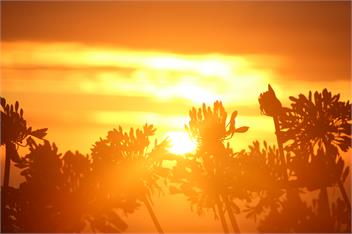 Anaura Bay Absolute Beachfront Retreat - Cottage # 3 -