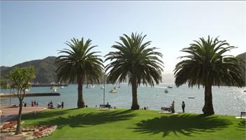 The Best Harbour Views in a Peaceful Sunny Location - Picton