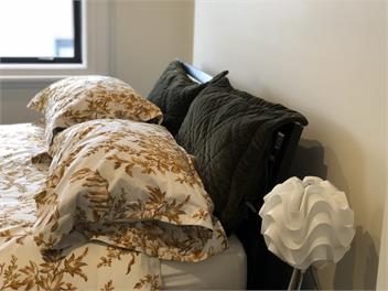 Bond Street Apartment Luxury 3-Bedroom - Dunedin