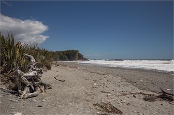 Rimu Cottage - Hydrangea cottages - Punakaiki