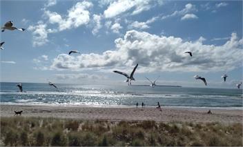PIPI PALACE-Bach on Beach-Mt Maunganui. - TAURANGA