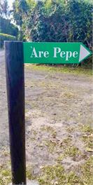 ' ARE PEPE - container home - Rarotonga