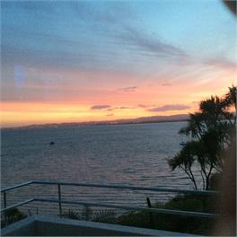 Coastal Nature Haven - Auckland