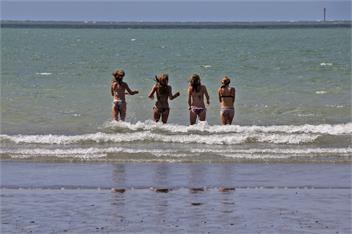 Tahuna Beach Oasis - Nelson