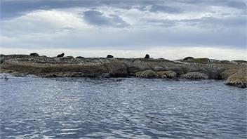 Kaikoura Fishing Retreat, Not Just For Fishing!!!! - Kaikoura