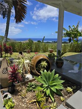 Tereora Heights Pool Retreat - Nikao