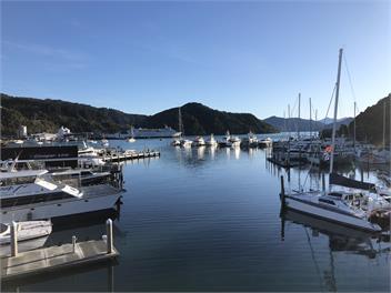 Sun Trap in Picton - Picton