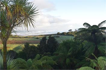 Coastal Ridge Retreat - Charleston