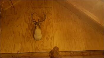 Off-grid Log Home in Pelorus Sound - Pelorus Bay