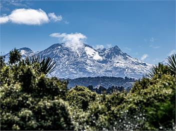 Yurt Escape (Bachcare) - Ohakune