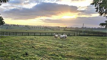 The Barn and Bivvy - 