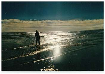 Glinks Gully Beach House - Dargaville